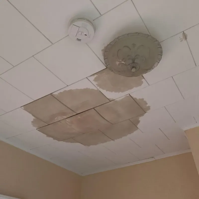 Ceiling Water Damage Repair in Medulla, FL