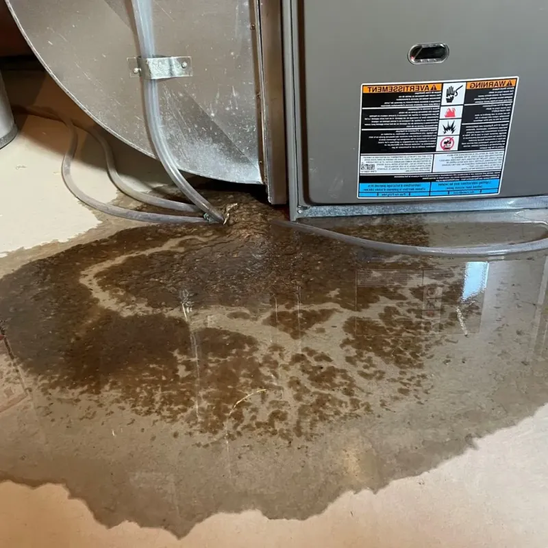 Pipe Burst and Leak Restoration in Medulla, FL